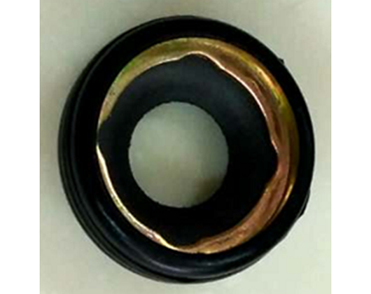 Oil seal